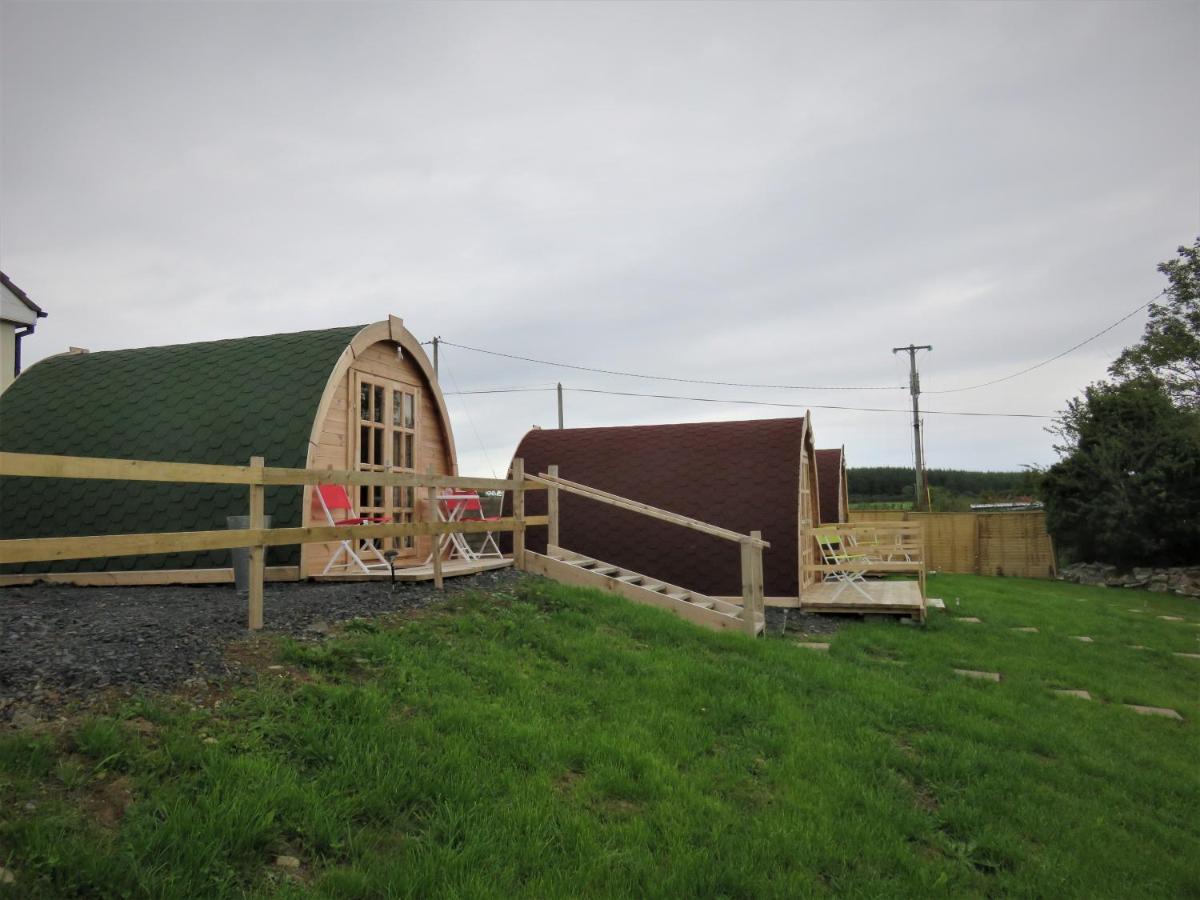Shannon Estuary Glamping Effernan Kültér fotó