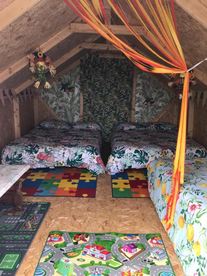 Shannon Estuary Glamping Effernan Kültér fotó