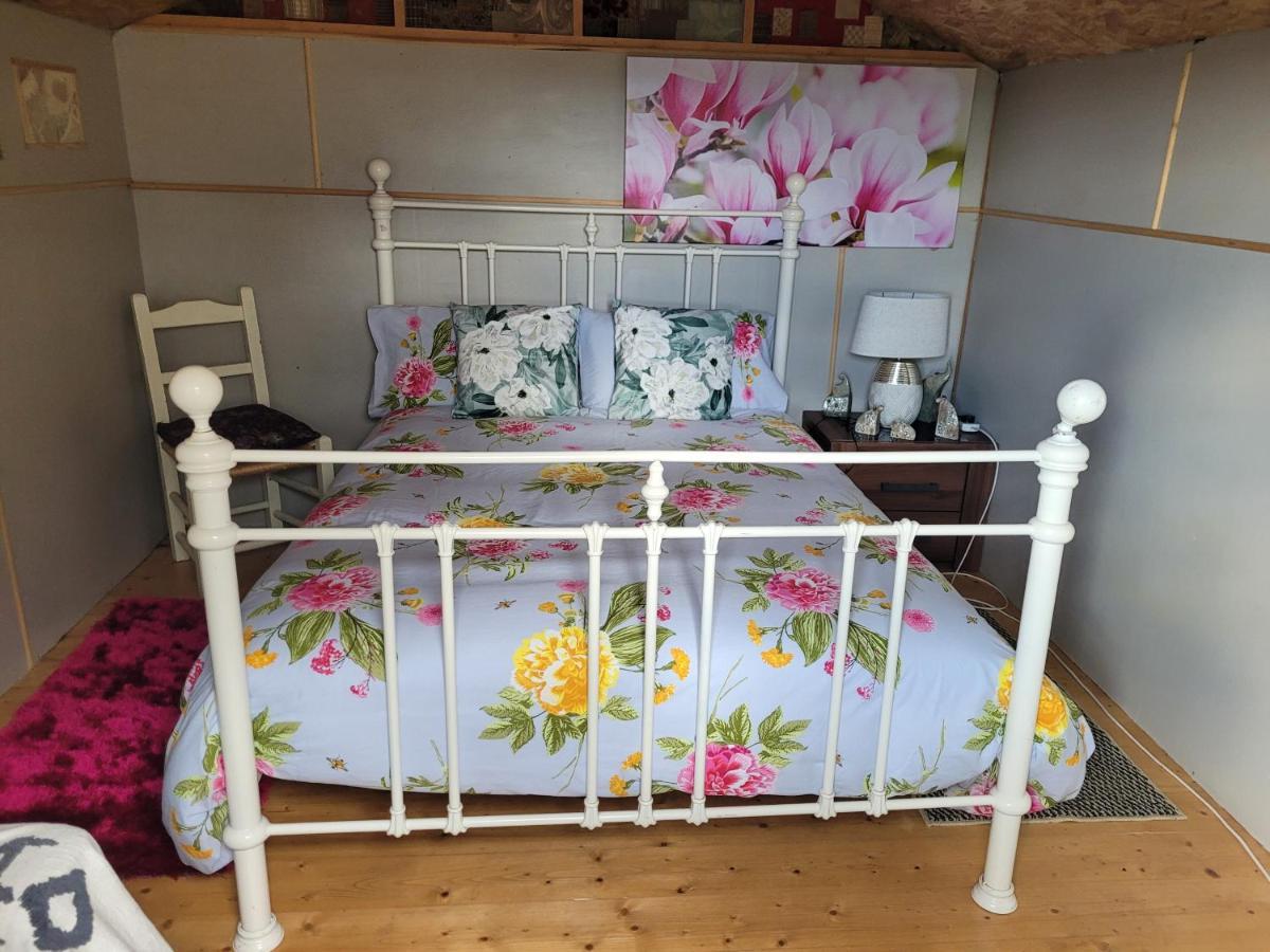 Shannon Estuary Glamping Effernan Kültér fotó