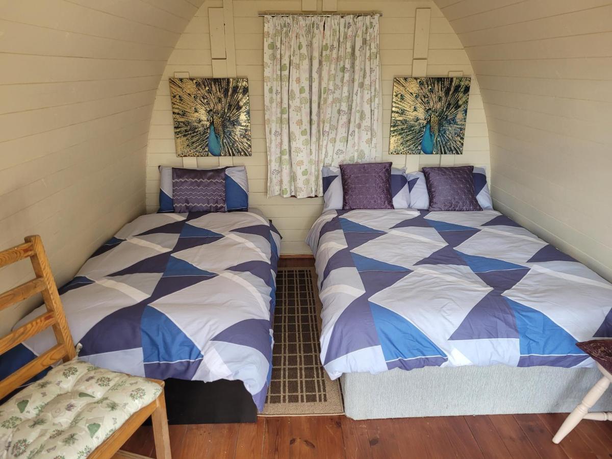 Shannon Estuary Glamping Effernan Kültér fotó