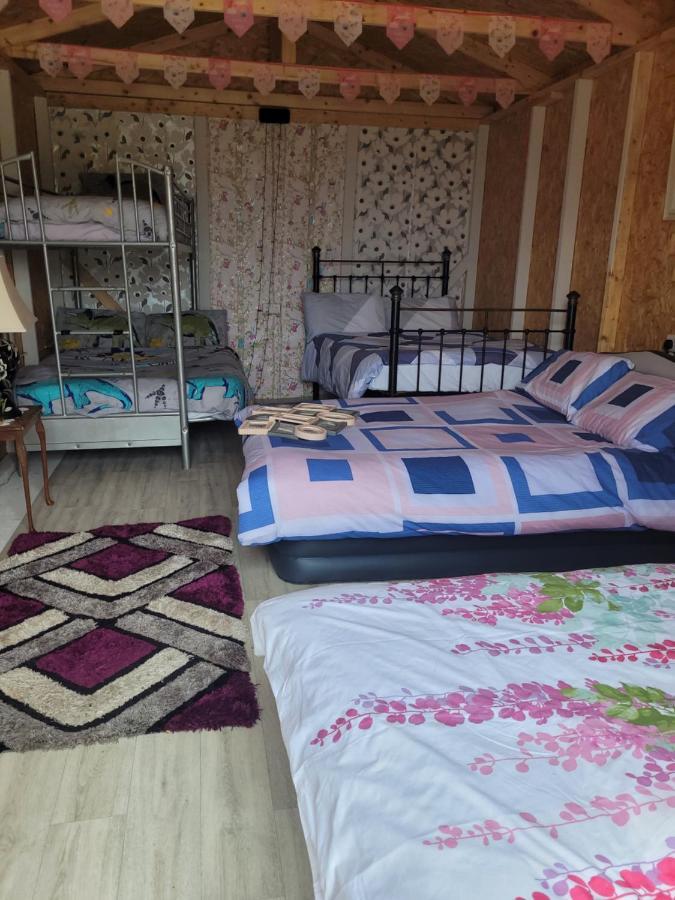 Shannon Estuary Glamping Effernan Kültér fotó