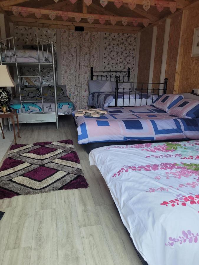 Shannon Estuary Glamping Effernan Kültér fotó