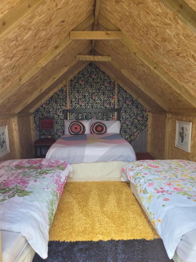 Shannon Estuary Glamping Effernan Kültér fotó