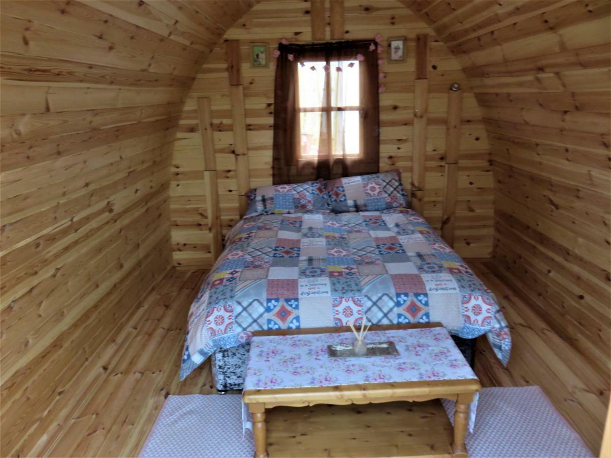 Shannon Estuary Glamping Effernan Kültér fotó
