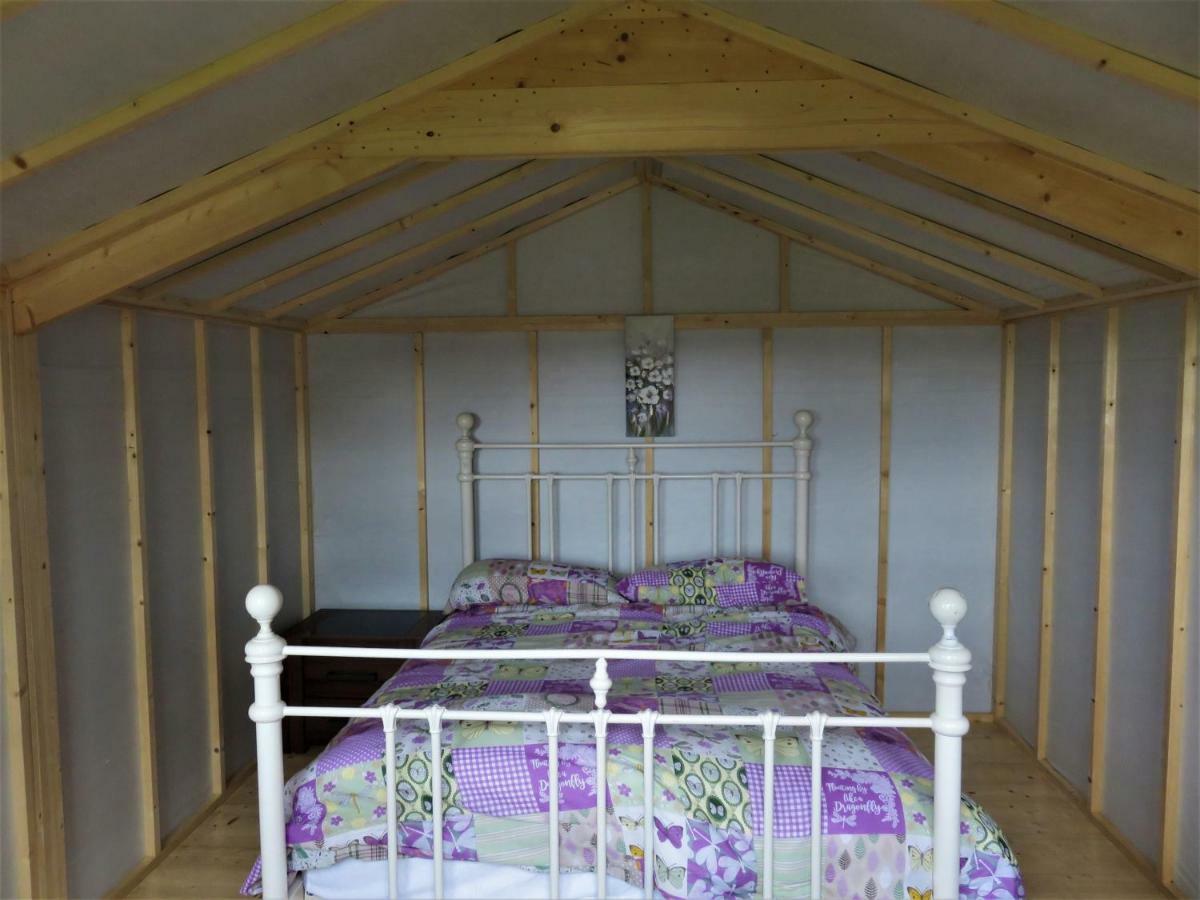 Shannon Estuary Glamping Effernan Kültér fotó