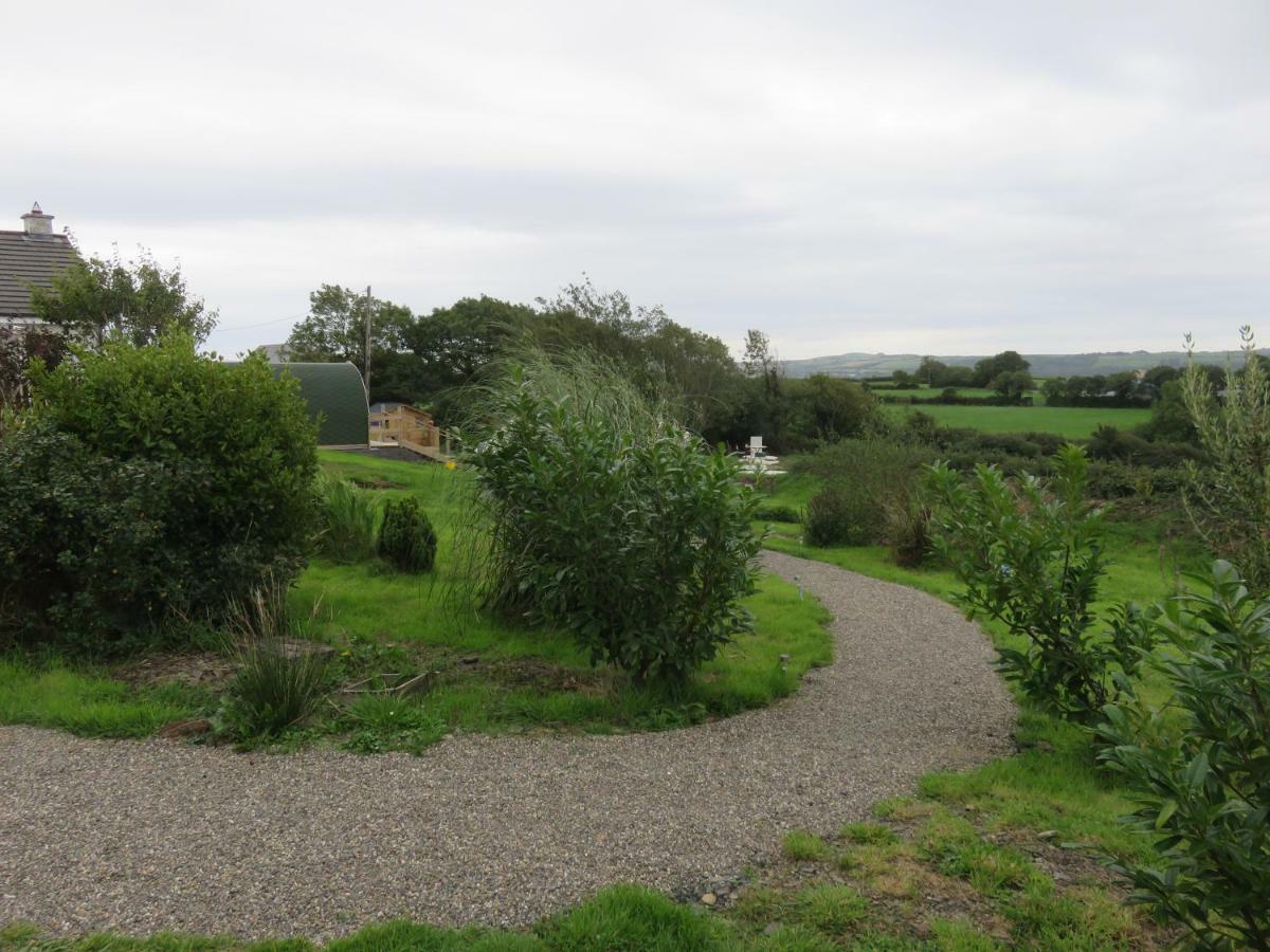 Shannon Estuary Glamping Effernan Kültér fotó