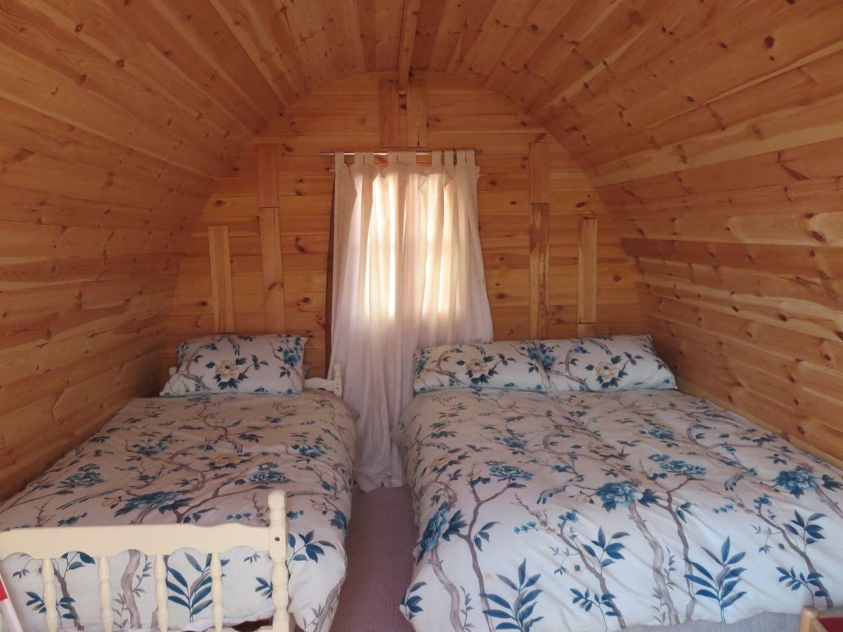 Shannon Estuary Glamping Effernan Kültér fotó