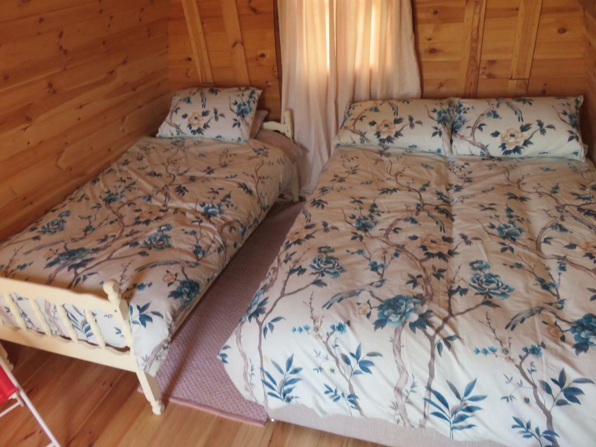 Shannon Estuary Glamping Effernan Kültér fotó