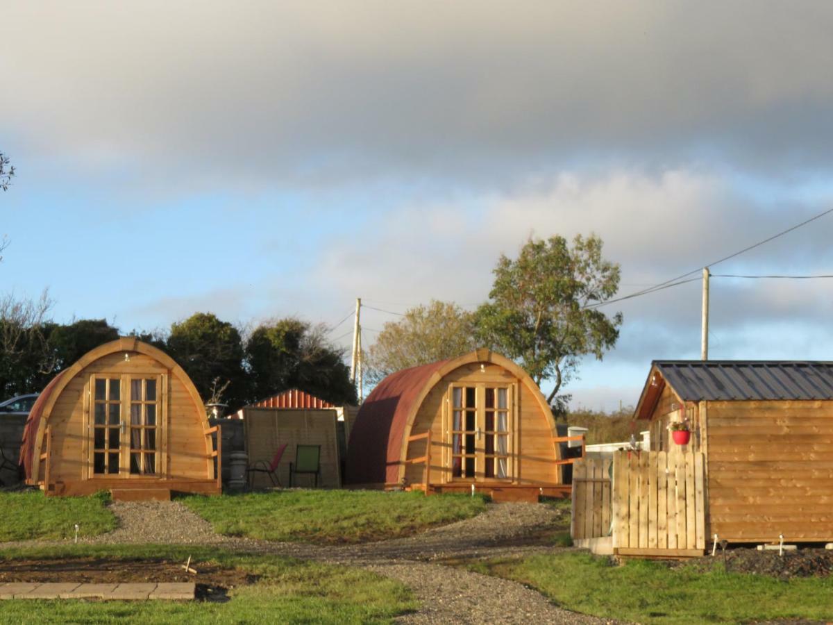 Shannon Estuary Glamping Effernan Kültér fotó