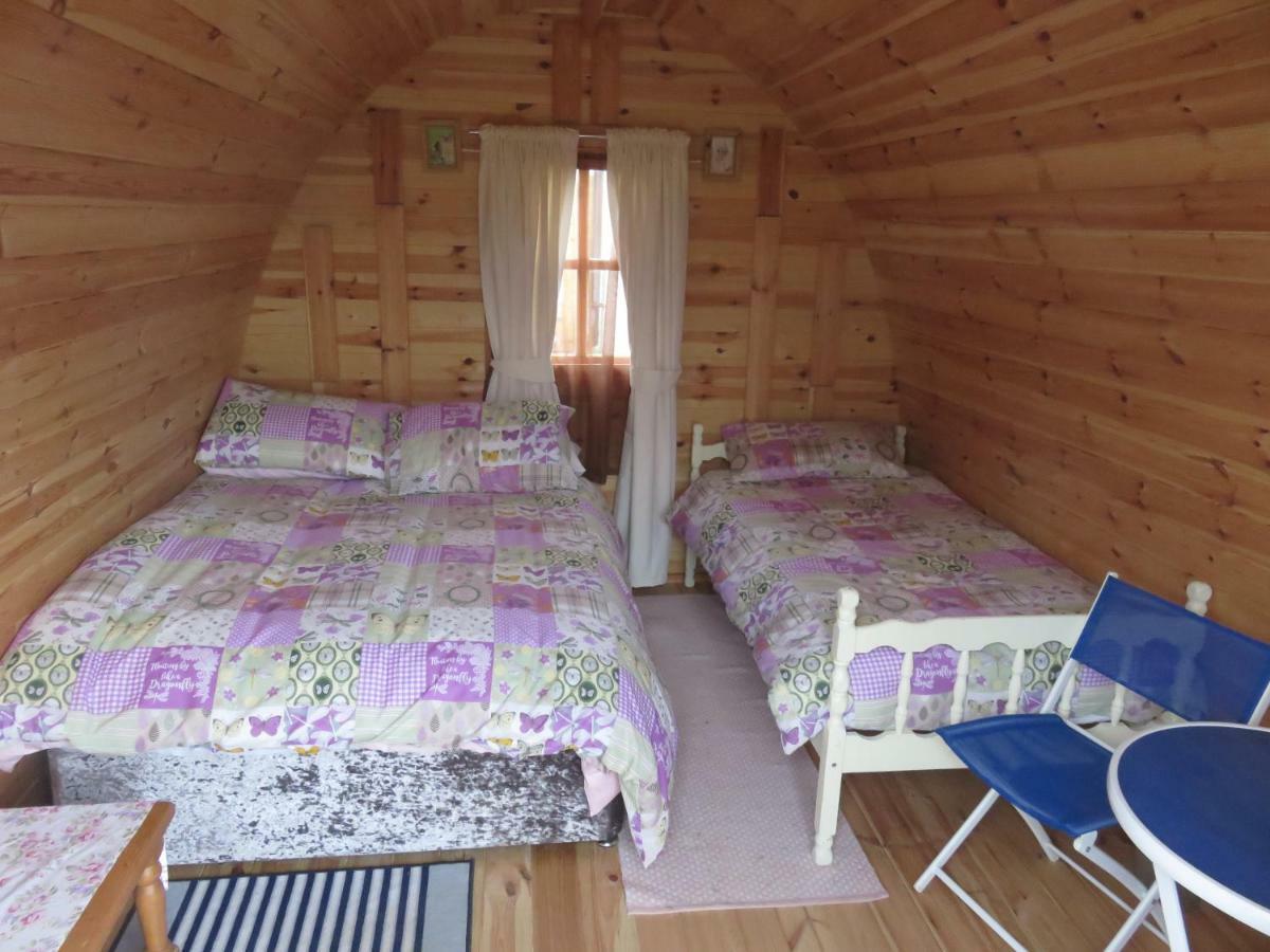 Shannon Estuary Glamping Effernan Kültér fotó