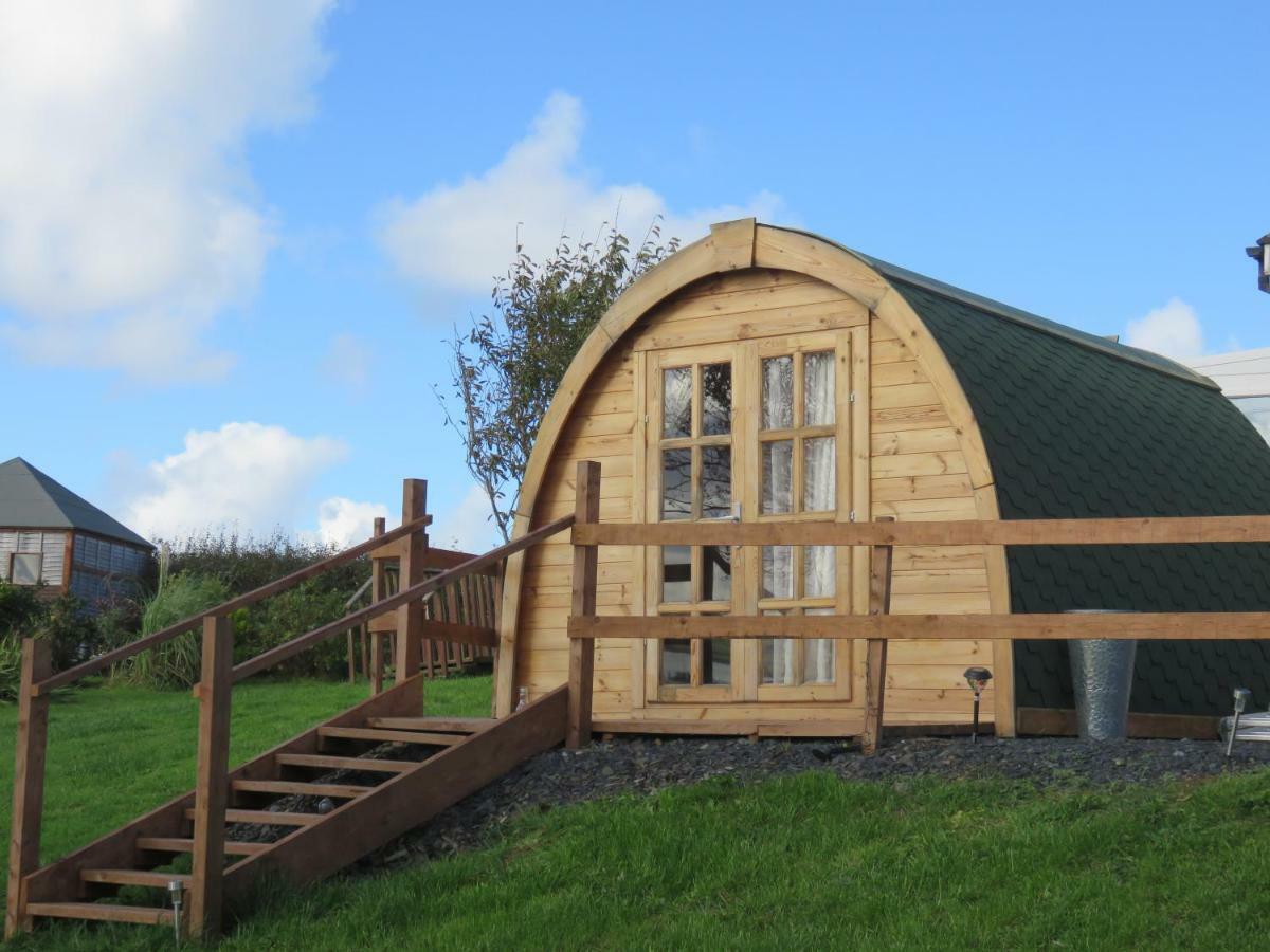Shannon Estuary Glamping Effernan Kültér fotó