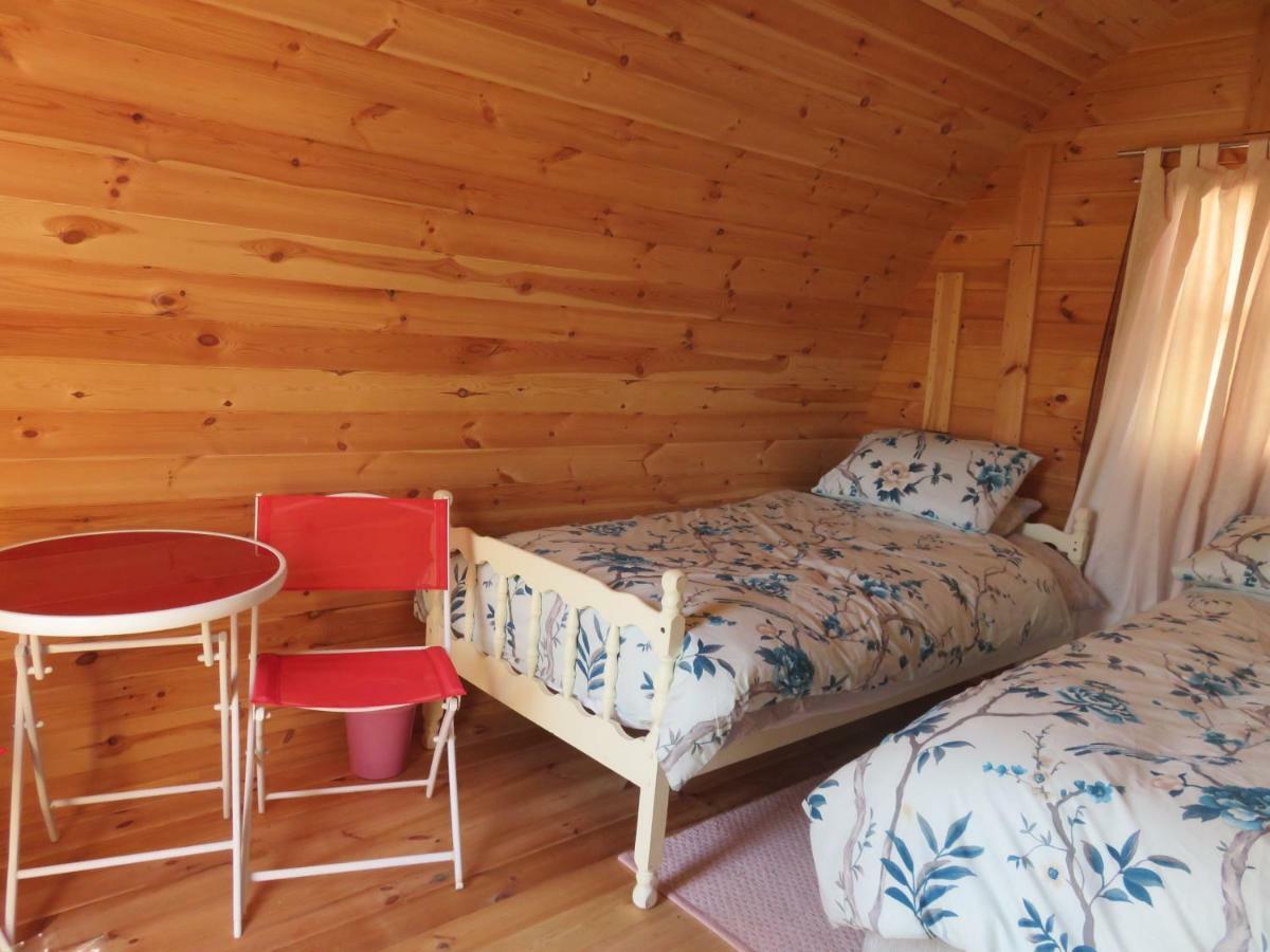 Shannon Estuary Glamping Effernan Kültér fotó